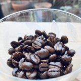 カフェインがカラダに入ると何が起きる？－カフェインとの長い縁―