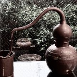 植物を”蒸留”するということ