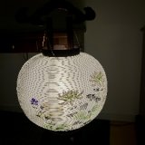 祈りの植物と盆提灯