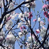 営業時間変更のお知らせ