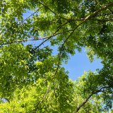 夏季休業のお知らせ