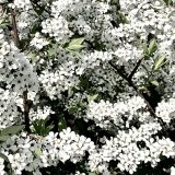 AIにできないこと！