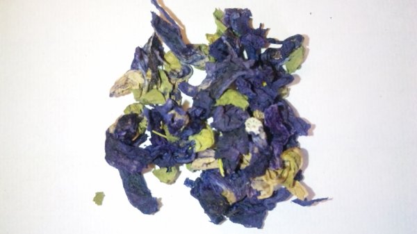 画像2: マローブルー(ウスベニアオイ)  (2)