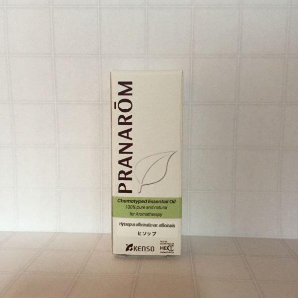 画像2: ヒソップ (プラナロム) (2)