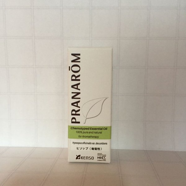 画像2: ヒソップ（匍匐性）(プラナロム)　 (2)