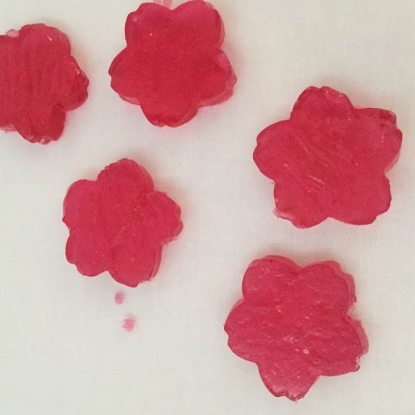 画像3: ハイビスカス (3)