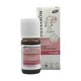 DaisyPlanet / PRANAROM ゼラニウム・エジプト 10ml