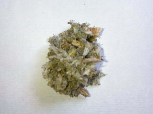 画像2: アーティチョーク  (2)