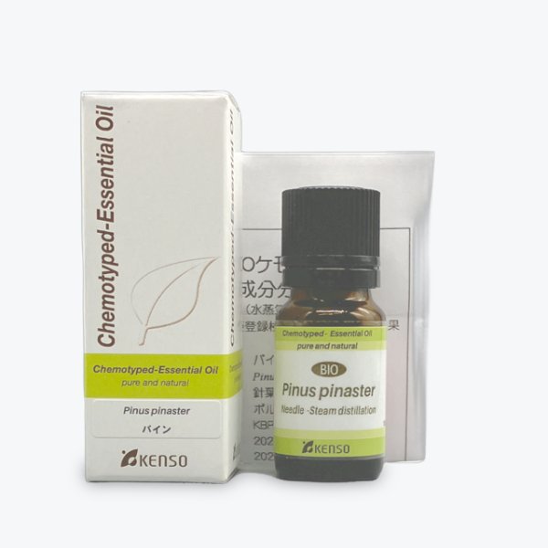 画像1: パイン(KENSO) (1)