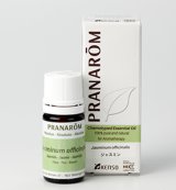 ジャスミン（アブソリュート）｜プラナロム精油｜ONLINE SHOP