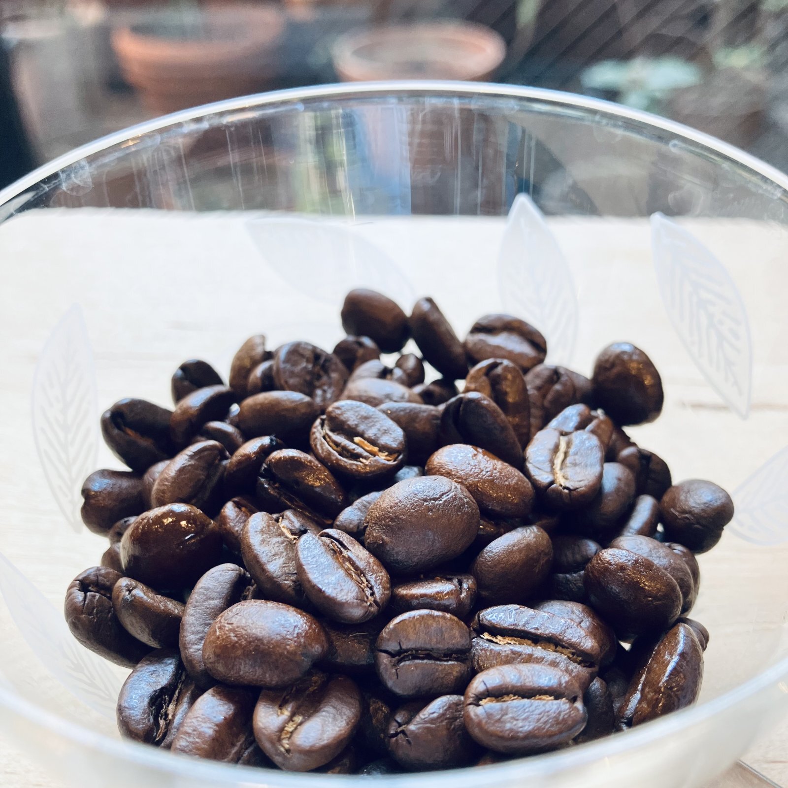 カフェインがカラダに入ると何が起きる？－カフェインとの長い縁―