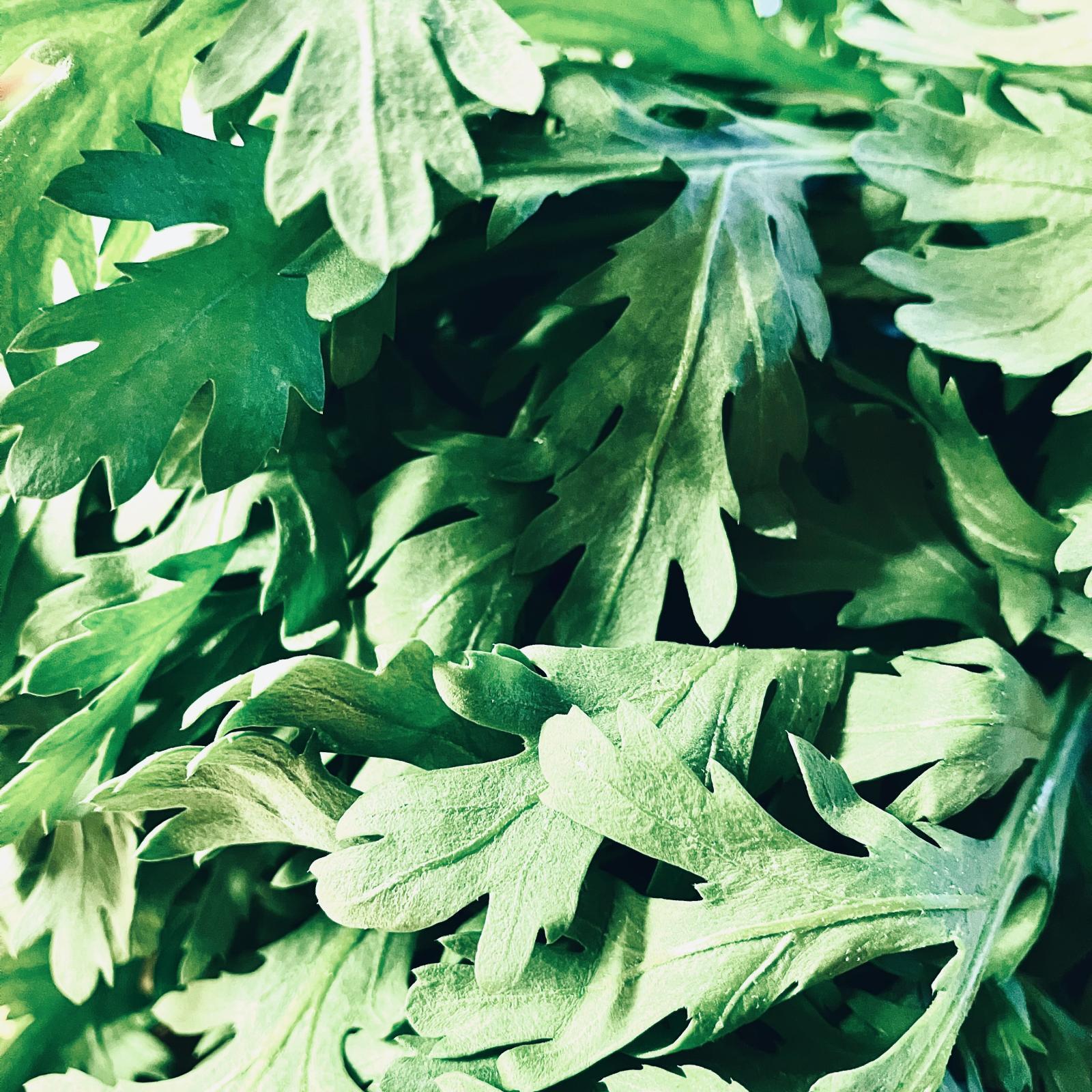 すべての野菜に香りはある！