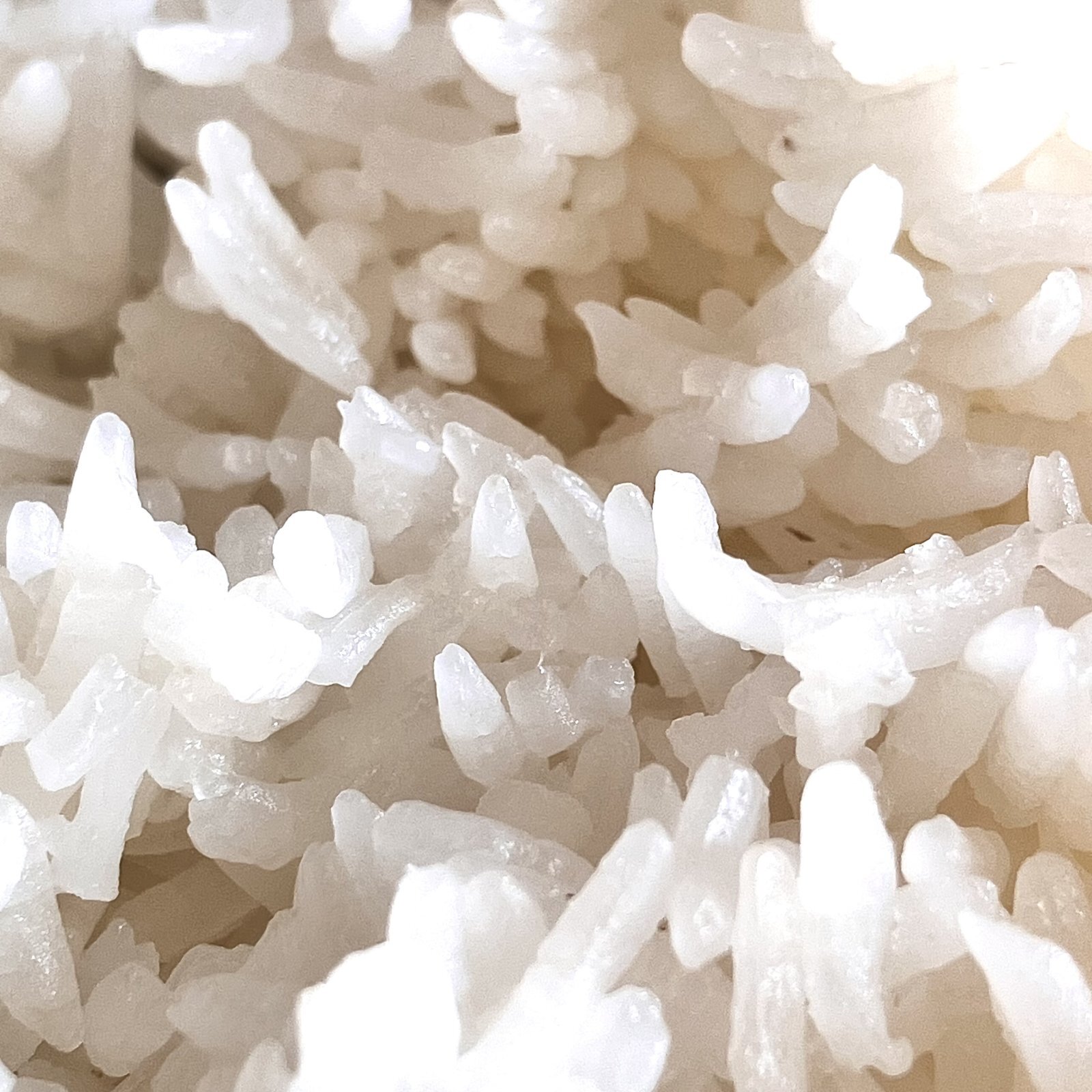 ジャスミンライスとだだちゃ豆