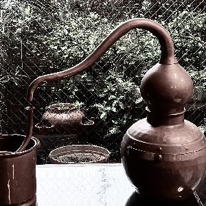 植物を”蒸留”するということ
