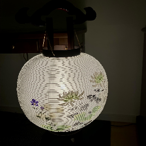 祈りの植物と盆提灯