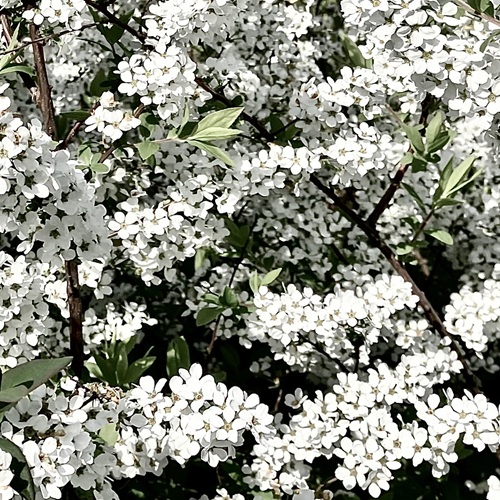 AIにできないこと！